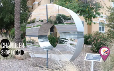 Digital Loyalty Program Services for Local Chandler Businesses