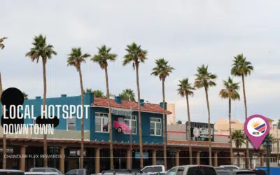 Loyalty Program for Small Business: Complete Guide to Customer Retention Without Breaking the Bank